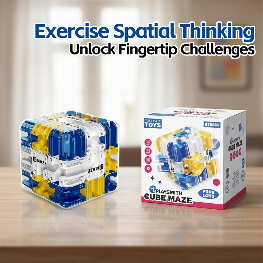 Large Labyrinth 3D Puzzle Cube